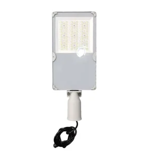 100W IP66 LED Solar Street Light High Brightness Waterproof Aluminum Alloy 5000K Daylight Remote Control for Road Use