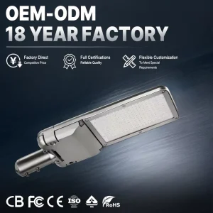 140lm/W IP65 IK08 50000H NEMA Ready ROHS Certified 100W Outdoor LED Street Lamp