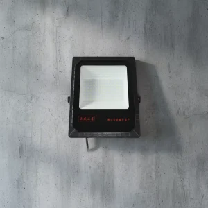 20W IP65 Outdoor LED Flood Light 12V DC 2700K Warm White Waterproof Marine Security 120 Beam Angle CRI 80 3 Year Warranty 5000