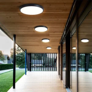 20W IP65 Waterproof Aluminum Surface-Mounted LED Bulkhead Ceiling Light