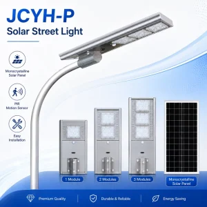 All-in-One Induction Solar Street Light Waterproof Outdoor Use IP65 Rated Road Application DC Power