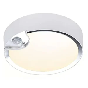 Battery-Operated Indoor/Outdoor LED Motion-Sensor Ceiling Light