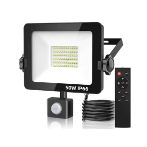 CE UKCA SMD High Lumen 30W 50W 100W Motion Sensor & Remote Control Corrosion-Proof IP66 Outdoor Security Flood Light