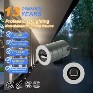 DC12/24V Inground LED Light Waterproof IP67 Stainless Steel 304/316 6000K Daylight 3-Year Warranty for Garden Outdoor Use