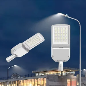 ENEC 170LM W High Efficacy LED Roadway Luminaire Waterproof 10KV Surge Protection Public Municipal Outdoor LED Street Light
