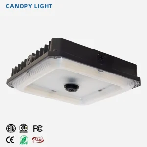 ETL Listed Gas Station LED Canopy Lights Surface Mounted 80W/100W IP65 for Warehouse Use