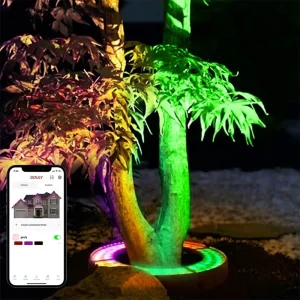 Gouly Smart App Controlled RGBW Palm Tree Light 6W 24V IP65 Waterproof with Ring Design for Outdoor Landscape Garden Lighting