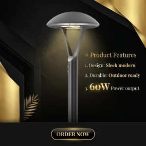 High Efficiency 60W Die-Cast Aluminum IP66 Waterproof LED Post-top Light for Urban Park and Municipal Street Projects