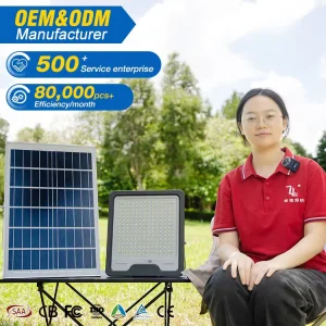 High Power Solar Lamp Outdoor Waterproof IP65 ABS 100w 200w 300w 400w 500w ABS LED Solar Flood Light