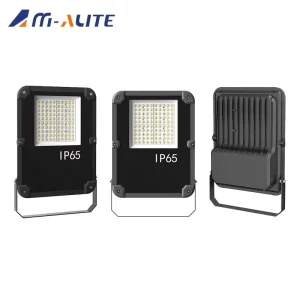 IP65 Rated 30W 300W LED Marine Flood Light for Sea Fishing and Garden Use Black