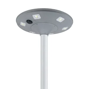 IP66 Waterproof Customizable Outdoor Solar Garden Light
