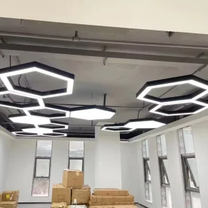 Indoor Outdoor LED Ceiling Lamp Modern Black Aluminum for Hotels Offices and Home