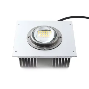 LED Module 50W 60W Light Source IP66 Replacement Lamp for Street Light Flood Light Tunnel Light