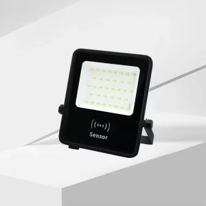 Low Power 10W 20W 30W 50W IP65 Small Size Automatic Induction Outdoor LED Flood Light for Landscape Garden Use