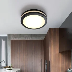 Modern Round-Mount LED Ceiling Light for Bedroom, Living Room, Kitchen, and Outdoor Use