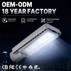 OEM ODM Die Cast Aluminum Outdoor Streetlights Dedicated to Government Projects and Urban Road Construction