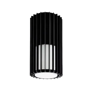 OTWM20001 Outdoor IP65 LED Cylinder Surface-Mounted Ceiling Lamp for Courtyard and Corridor