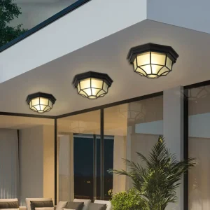 Outdoor Aluminum LED Ceiling Light for Balcony Courtyard Corridor Garage Staircase and Entrance Surface Mounted