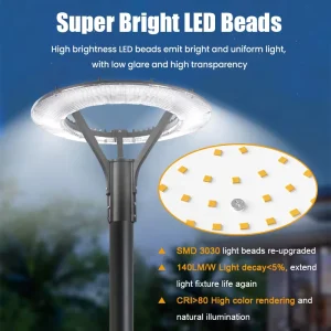 Outdoor LED Garden Light 60W Aluminum Alloy 220V High Efficiency Energy Saving IP65 Dimmable Warranty for Garden Floor