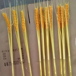Outdoor LED Garden Light Plastic Rechargeable Waterproof IP65 Remote Control Wheat Ear Rice Straw Lamp for Halloween Decoration