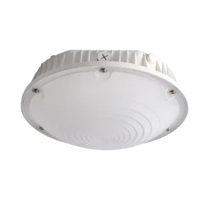 Outdoor Round LED Canopy Ceiling Light for Garage and Gas Station, Waterproof