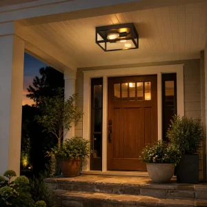 Outdoor Weatherproof Flush-Mount Ceiling Light with Matte Black Metal Cage and Clear Glass Shade