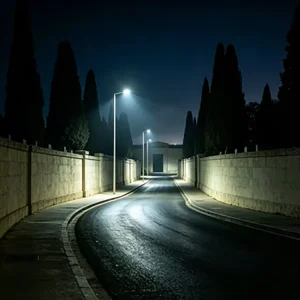 Professional Street Light 300W IP66