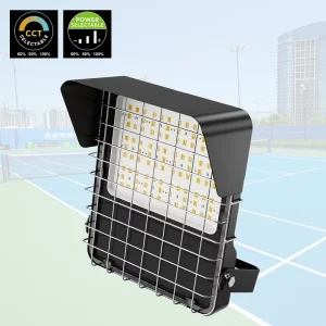 ROMANSO CE ROHS ETL IP66 Selectable Power CCT LED Flood Light 100W LED Floodlight