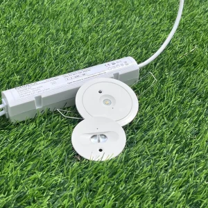 Recessed LED Emergency Light DALI 2.0 55 70mm Cutout 20mm Thin Manual Test Self Test 3 Hour 200lm W CB CE for Home Apartment