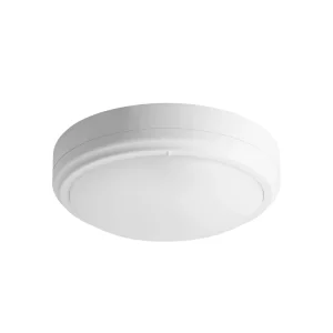 Round LED Ceiling Light IP65 Surface-Mounted Die-Cast Aluminum Ceiling Luminaire for Indoor and Outdoor Lighting