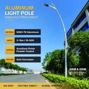 Solar LED 8m Aluminum & Stainless Steel Durable Garden Lamp Poles Street Light Poles 10 Year Warranty For Landscaping