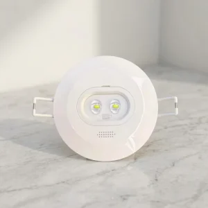Surface-Mounted Ceiling Recessed Plastic Battery-Operated Automatic Rechargeable LED Emergency Light