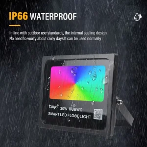 Tuya Smart WiFi ZigBee LED Flood Light AC 220V 30W Outdoor IP66 Waterproof Aluminum Housing RGB Floodlight with RF Remote
