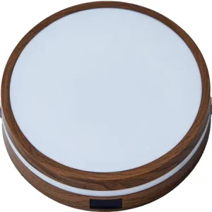 Ultra-Thin DIP Switch 3-Color IP54 Tri-Proof Outdoor LED Ceiling Light