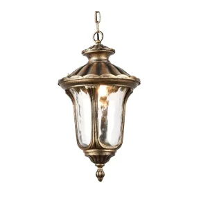 Vintage Waterproof Outdoor Pendant Light Exterior Hanging Lamp for Walkway Entry Balcony Garden Pavilion Grape Decoration