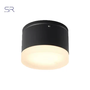 Waterproof IP54 Circular Outdoor Wall/Ceiling Lamp
