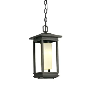 Waterproof Outdoor Porch Light for High Ceilings