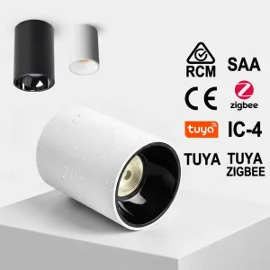 Zigbee SAA RCM CE Matte Smart Surface Mounted LED Downlights